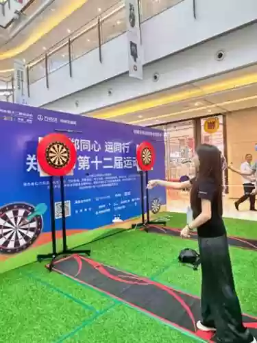 飞镖阵容图片_1插图