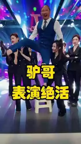 驴哥阵容插图