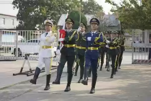 卫国的阵容插图1
