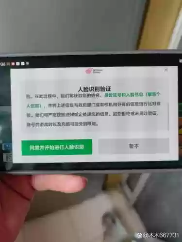 梦幻西游实名认证上限插图1