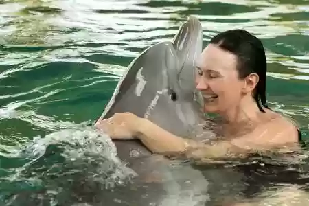 海洋的拥抱技能插图1
