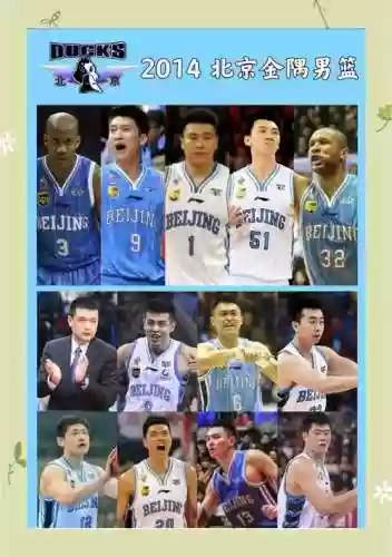 2014北京阵容插图