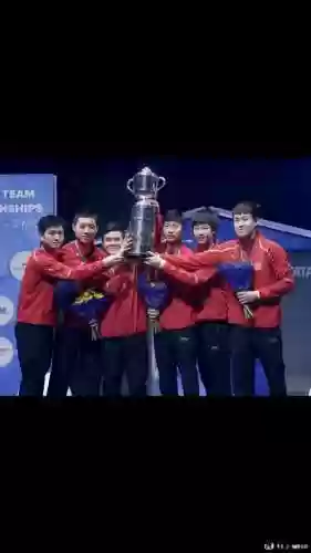 世乒赛2018阵容插图
