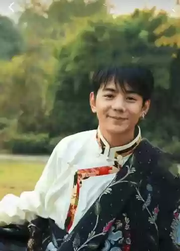 阵容丁真插图