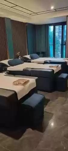浴足阵容插图