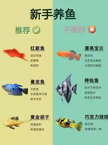养鱼阵容选择_1插图1