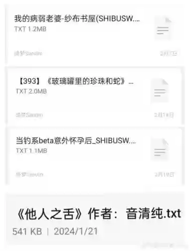 病弱攻略txt下载书包网插图