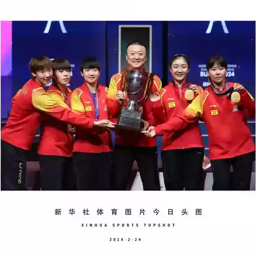 世乒赛各队阵容插图
