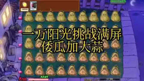 窝瓜大蒜阵容插图1