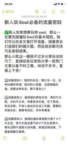 soul使用攻略插图1