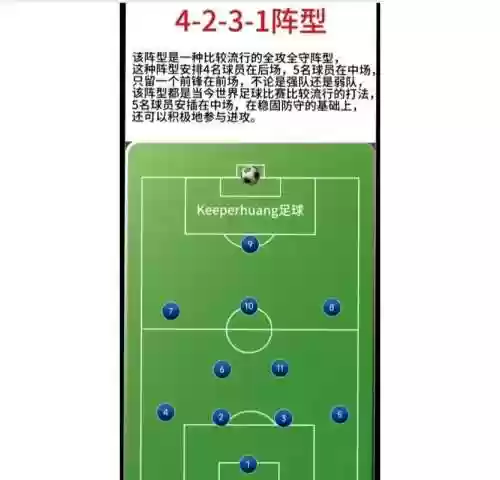 4132阵阵容插图