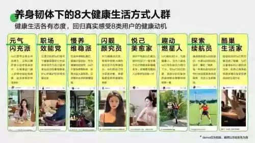 大健康阵容插图1