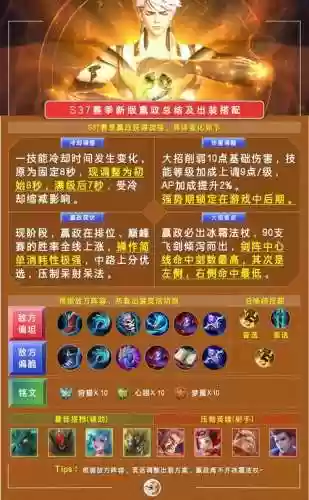 嬴政适配阵容插图1