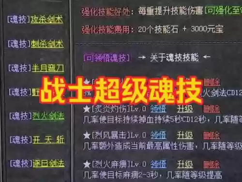 热血传奇所有战士技能详解插图1
