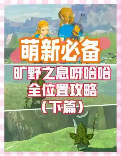 塞尔达攻略安卓下载插图1