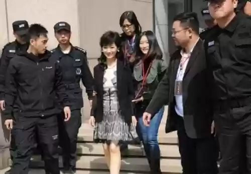出访保镖阵容插图1