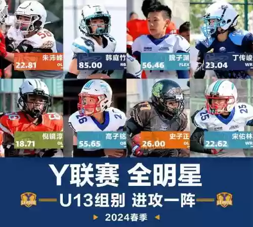 运动品牌阵容插图