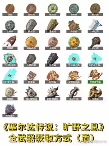 塞尔达盾牌技能插图