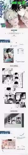 perchang攻略49插图1