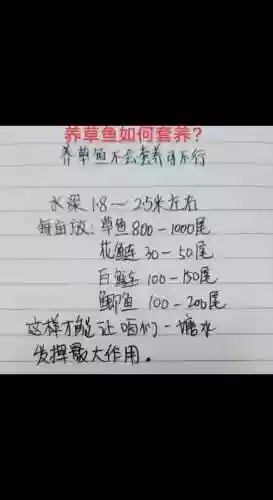 养鱼阵容选择_1插图
