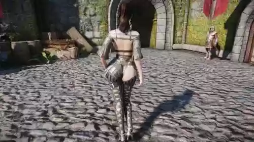 上古卷轴5隐藏装备mod插图