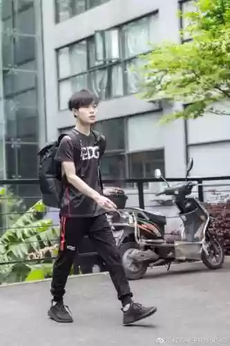 童扬阵容_1插图1