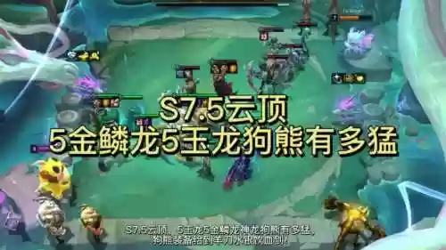 玉龙7.5阵容插图1