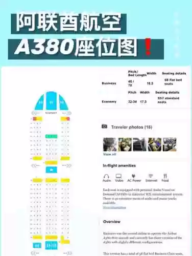 阿联酋阵容分析_1插图1