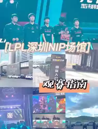 深圳yolo阵容_1插图