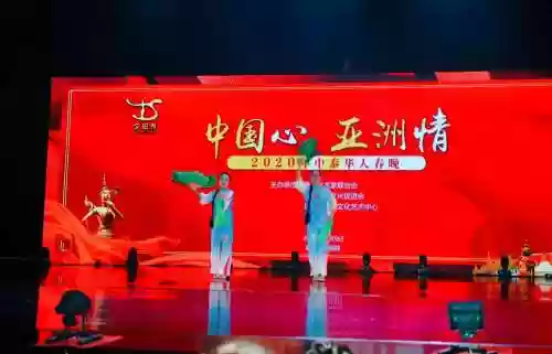 泰国春晚阵容插图