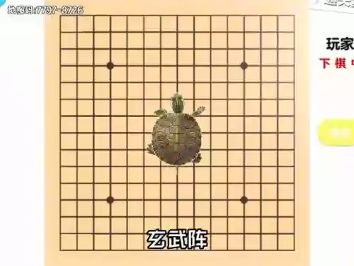 下棋玄武阵容_1插图
