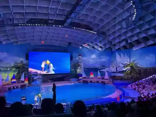 海洋世界阵容插图1
