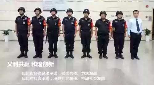 双保安阵容_1插图
