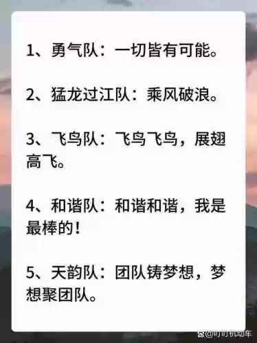 勇气队阵容插图1