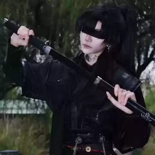 瞎子次元套搭配阵容，瞎子带次元插图1