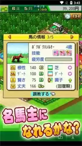 顶级跑马牧场攻略白色，顶级跑马牧场体质有什么用插图1