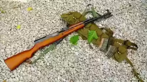 追击战用什么武器好，追击战用什么武器好用插图1