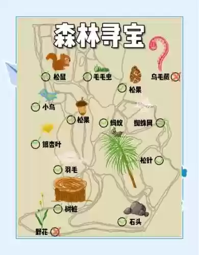 森林寻宝游戏攻略，森林寻宝游戏攻略视频插图