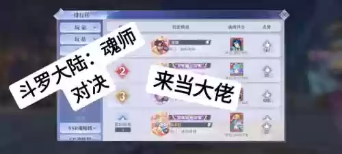 魂师阵容搭配三辅助，s魂师哪个好插图1