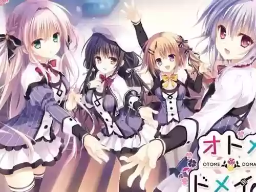 绝对领域阵容插图