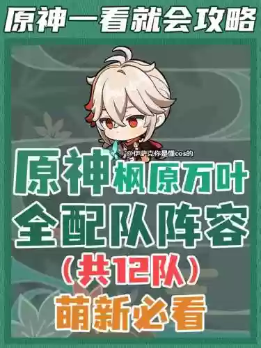 万叶和将军阵容搭配，万叶和谁组队插图