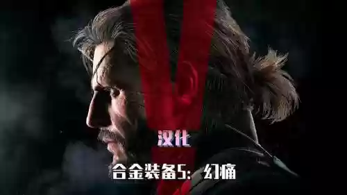 ps4合金装备5幻痛设置，合金装备5幻痛设置中文方法插图1