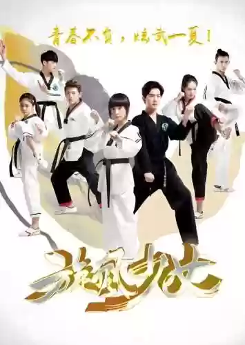 旋风少女第3季阵容搭配,旋风少女第三季阵容插图 旋风少女第3季阵容搭配,旋风少女第三季阵容插图