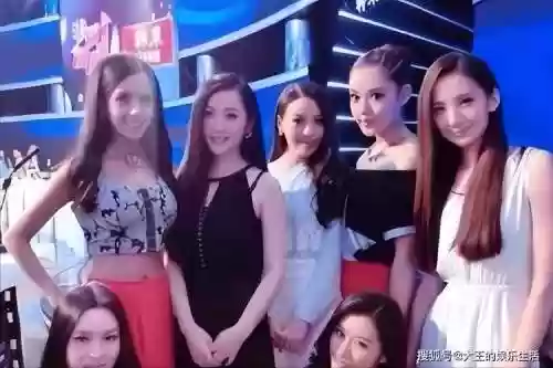 非诚阵容插图