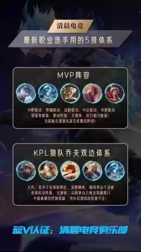 王者荣耀白金最强阵容搭配，王者荣耀白金什么英雄好上分插图1