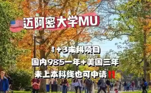 迈阿密大学阵容搭配，迈阿密大学算名校吗插图