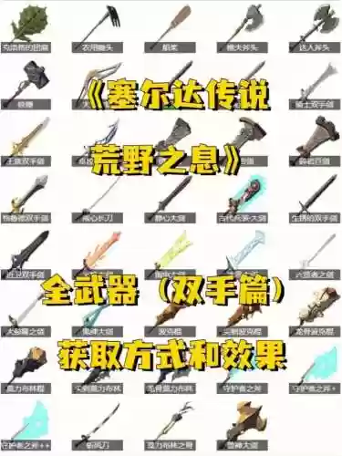 塞尔达荒野之息特殊装备，塞尔达 特殊装备插图1