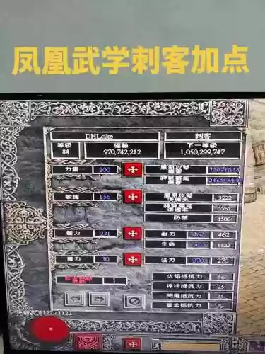 暗黑2刺客加技能装备，暗黑2刺客加技能装备怎么加插图